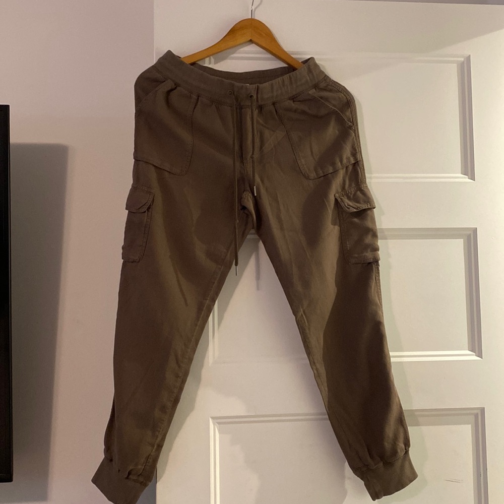 Aritzia community Cargo joggers